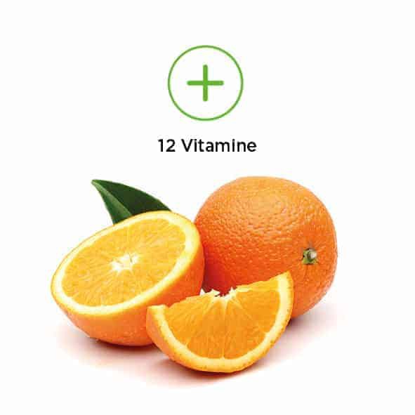 VABO-N GmbH - Natural food supplement products