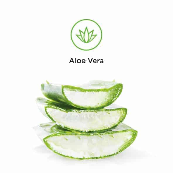 VABO-N GmbH - Natural food supplement products