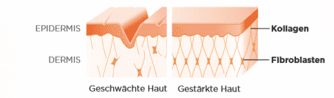 VABO-N GmbH - Natürliche Nahrungsergänzung‎produkte