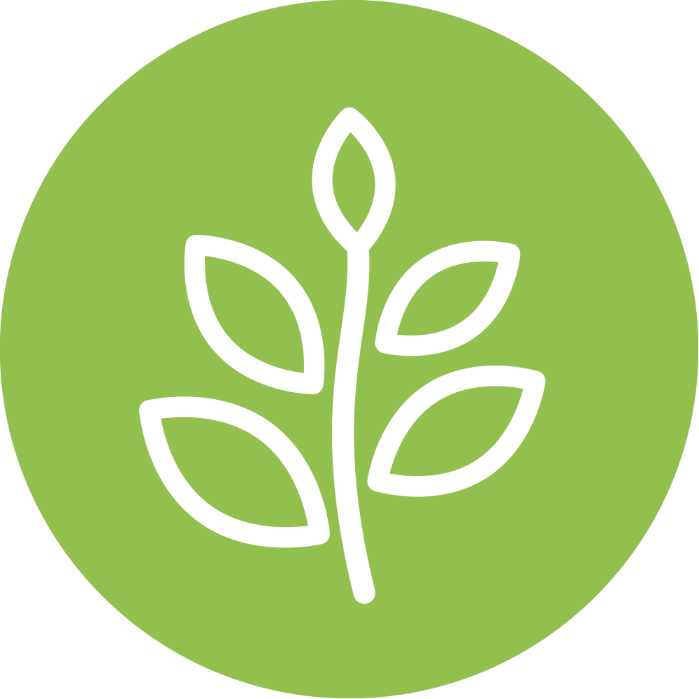 VABO-N GmbH - Natürliche Nahrungseragänzung‎produkte
